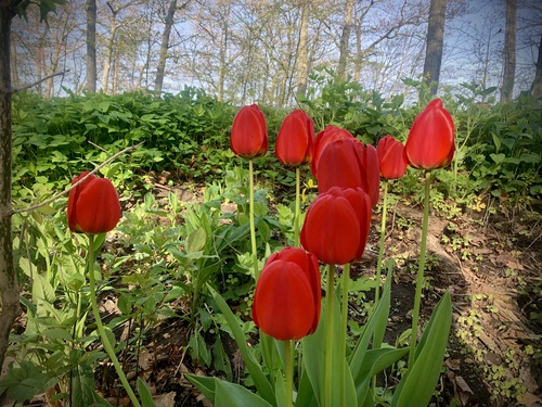 IMG_34614dc7-afb2-3b3653657827-1_all_5168, 